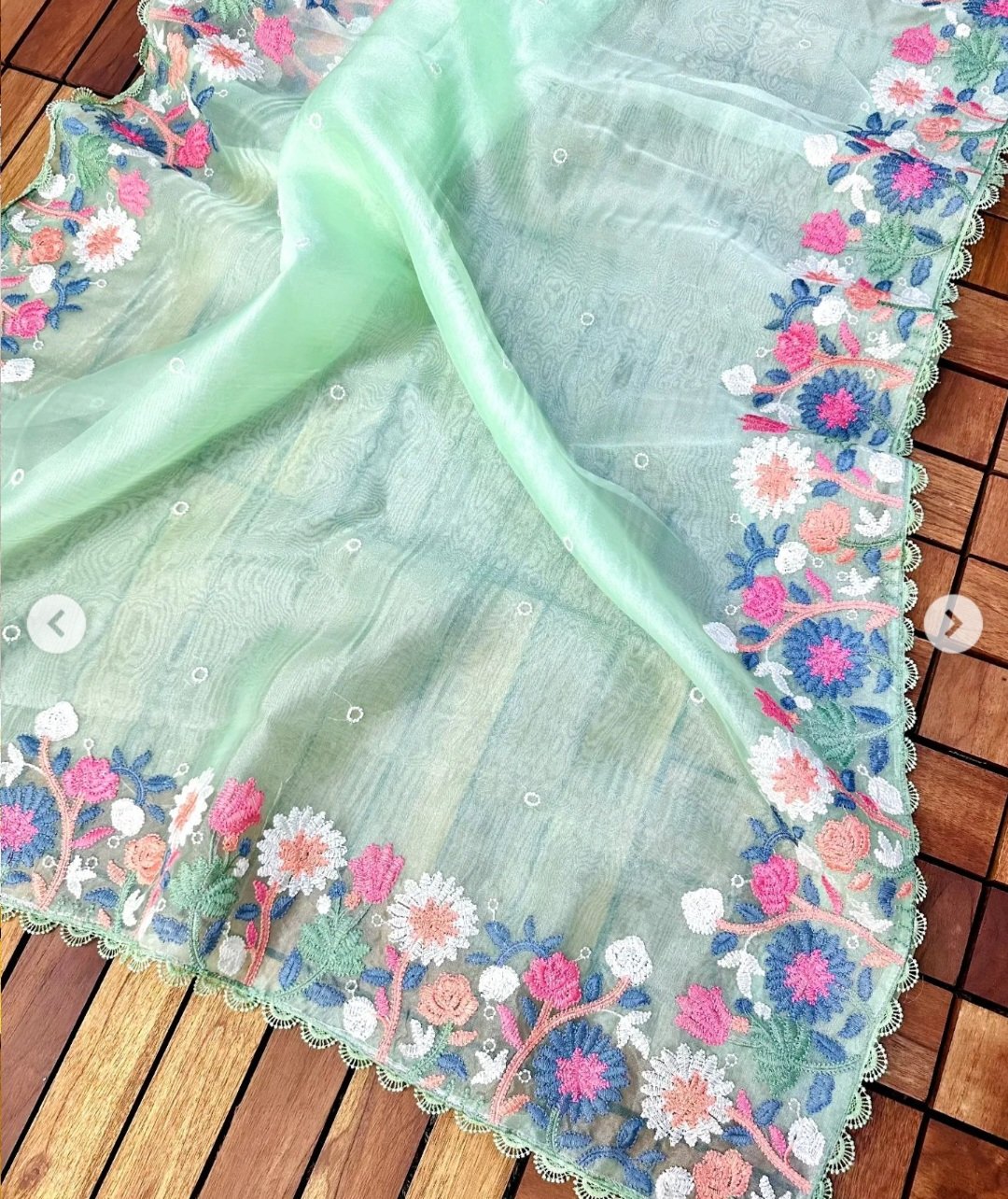 floral Bagicha Organza hand embroider Saree